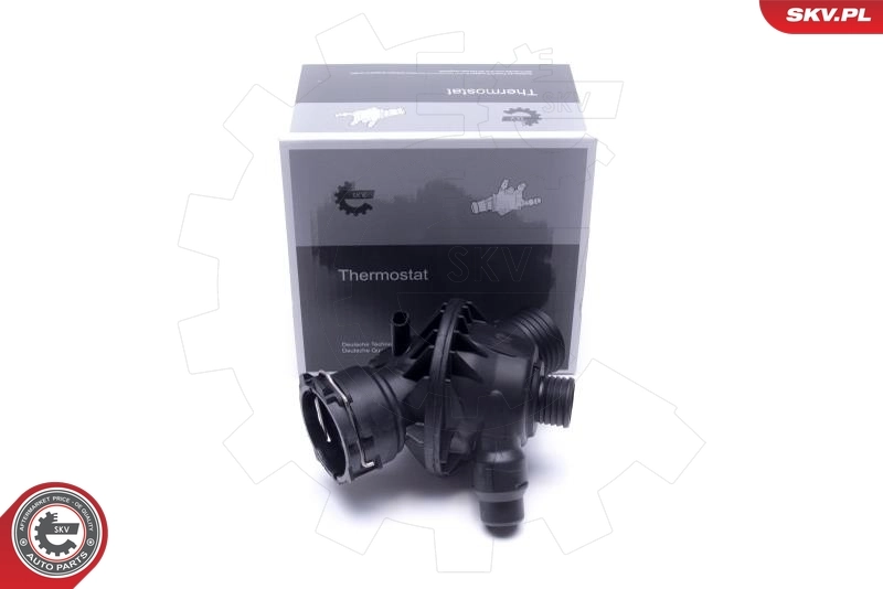 Thermostat, coolant